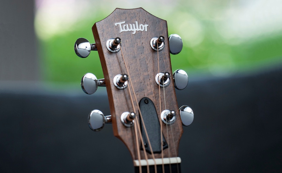 Taylor Guitars Headstock