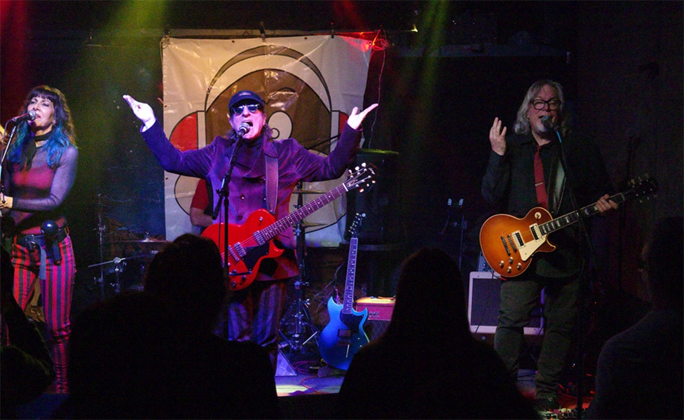 Mike Molenda Performing with The Trouble with Monkeys