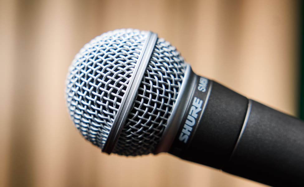 Shure SM58 Dynamic Vocal Microphone Capsule