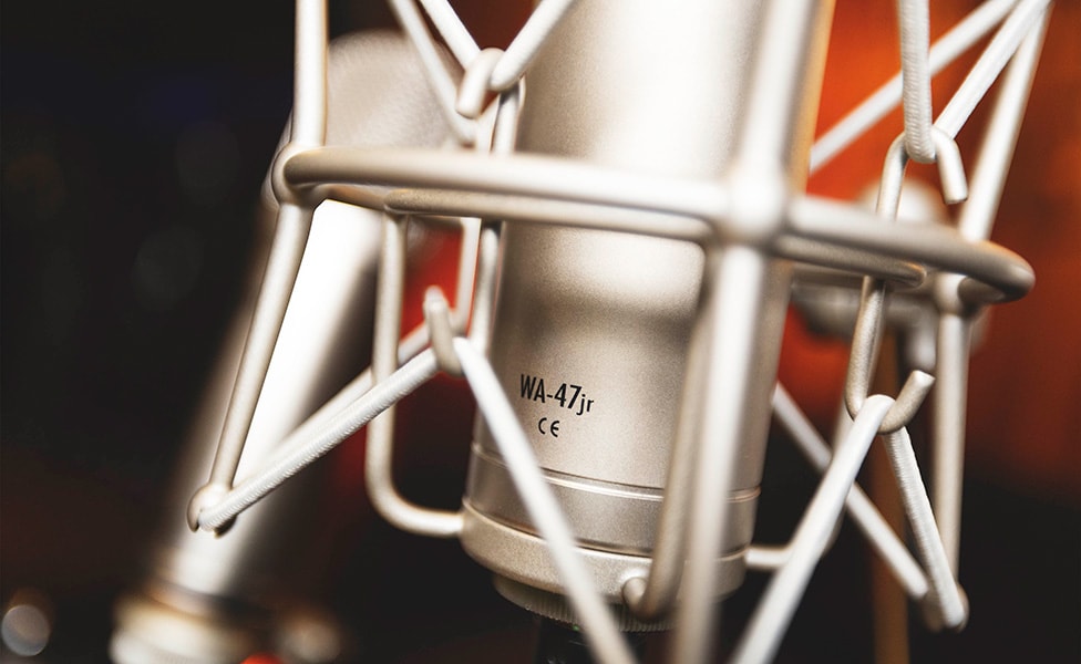 Warm Audio WA-47jr FET Shockmount