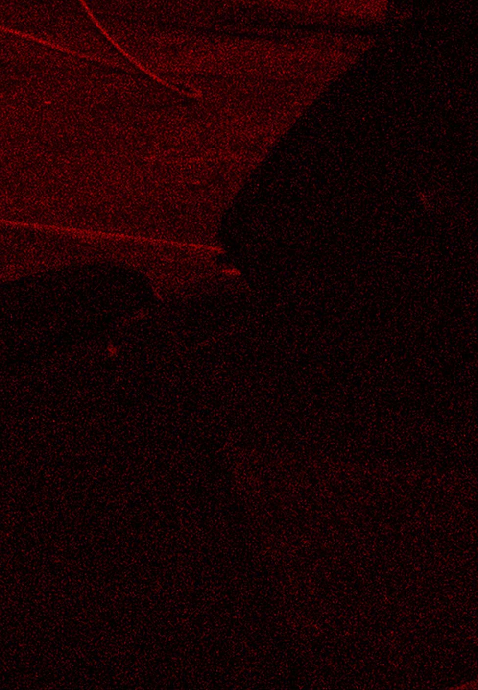 stage floor