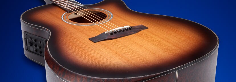 Acoustic Guitars
