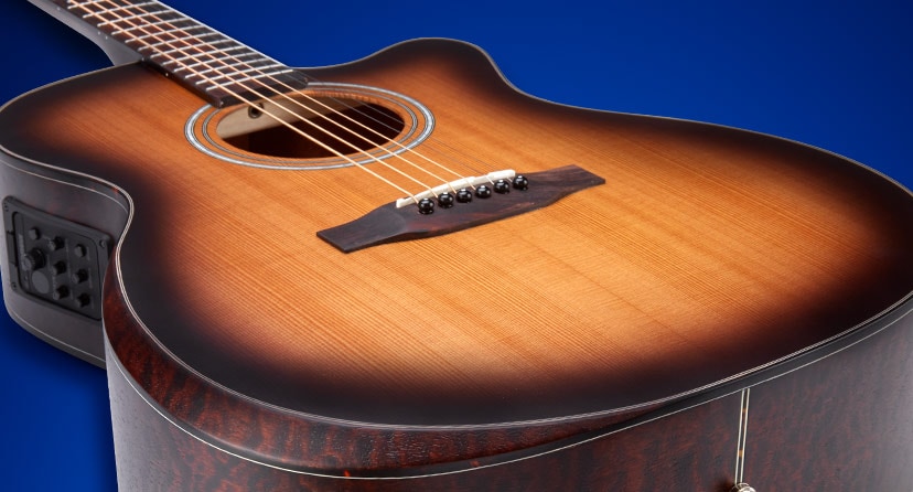 Acoustic Guitars