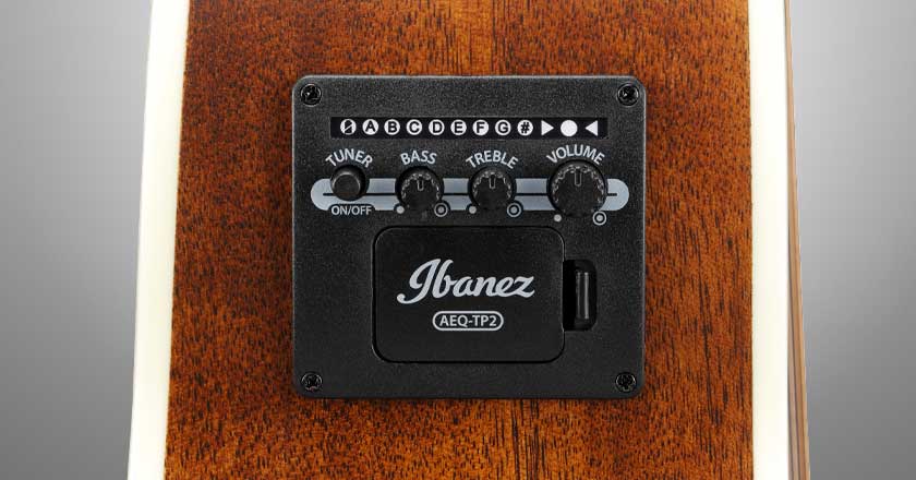 Ibanez AE100 Preamp