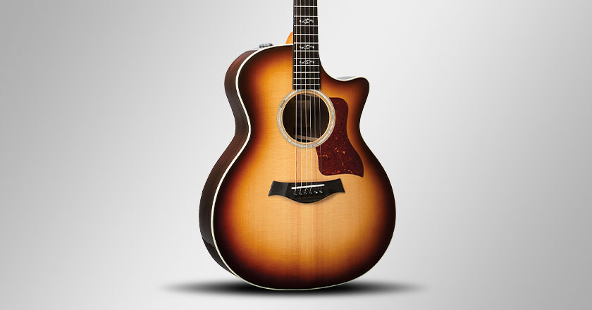 Taylor 414ce Special Edition V-Class Bracing