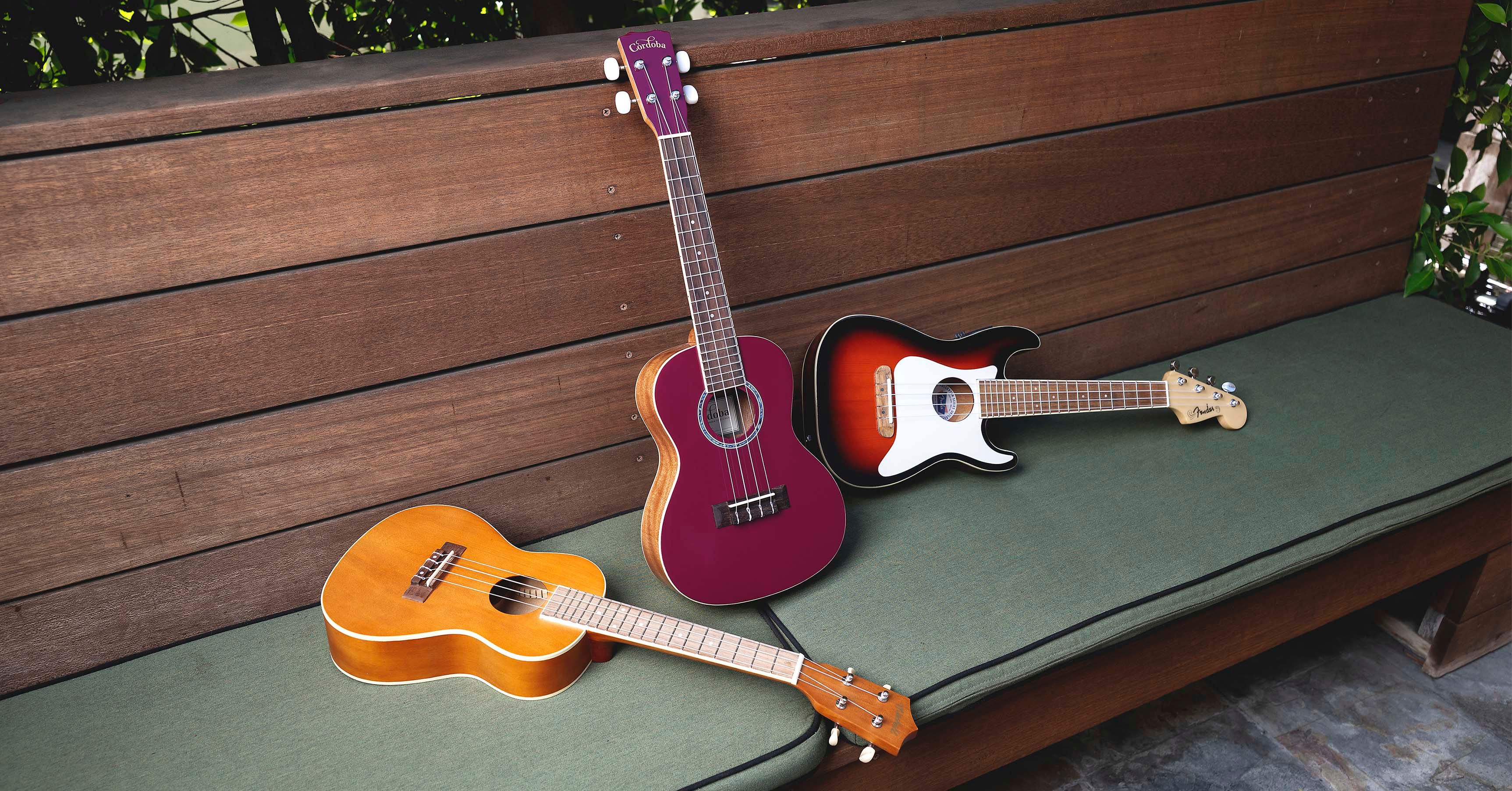 Top 5 Ukuleles for Beginners