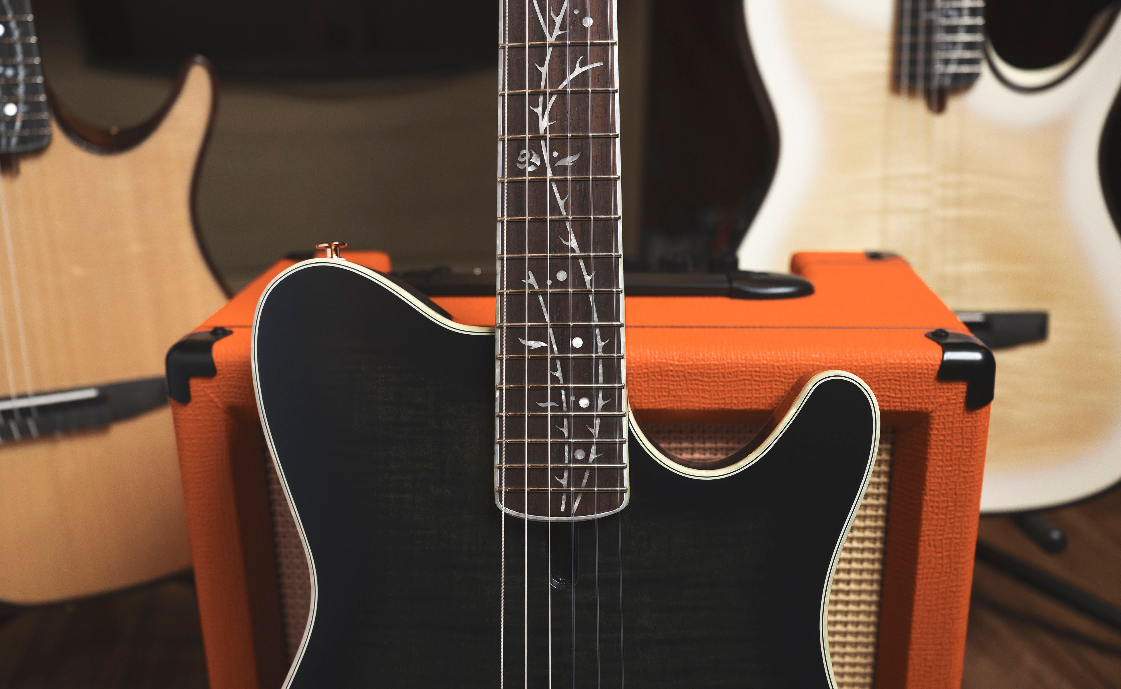 Ibanez_TOD20FMN_Tree_of_Death_Fretboard_Inlay_Inline.jpg