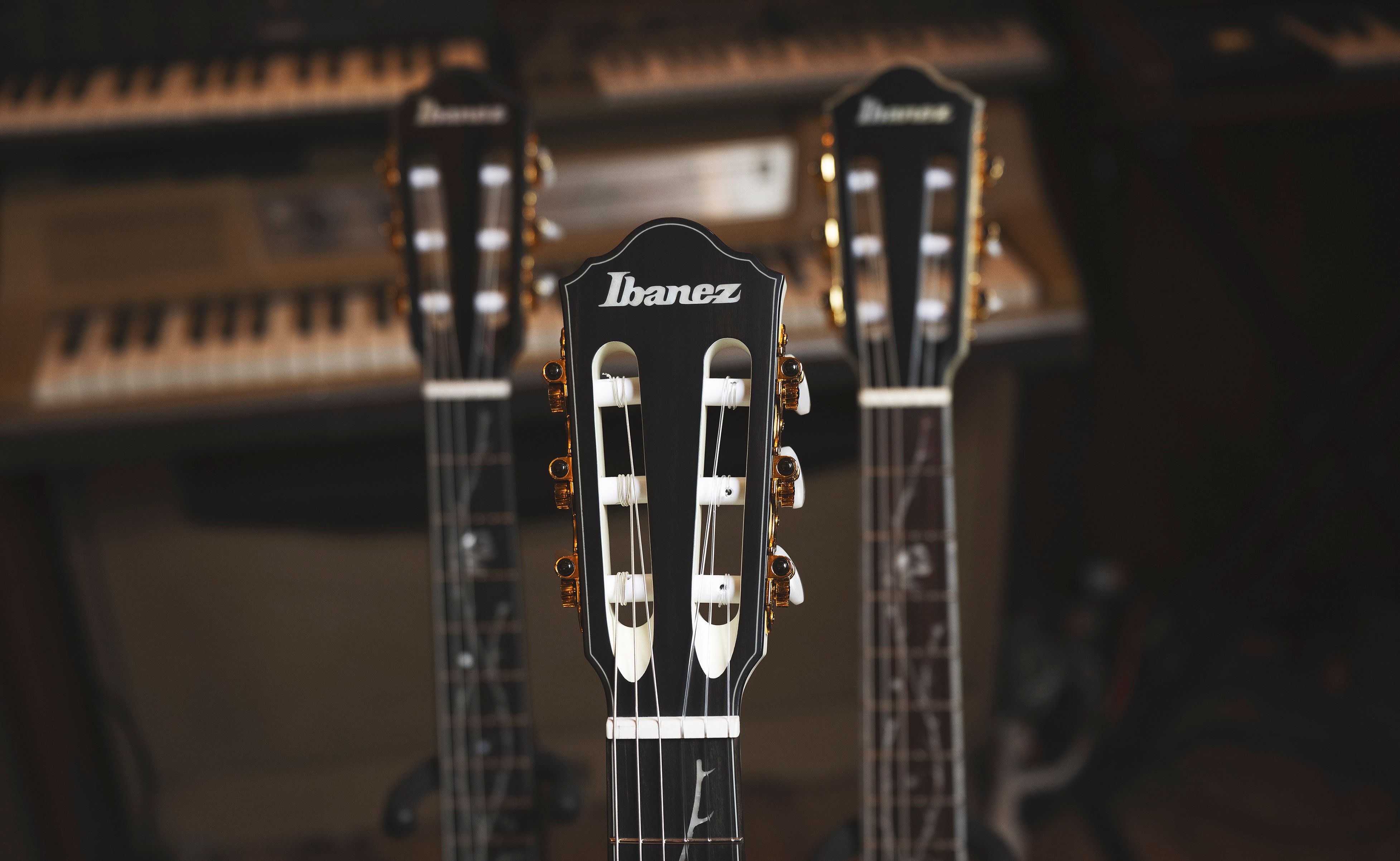 Ibanez_TOD_Series_Headstock_Inline.jpg