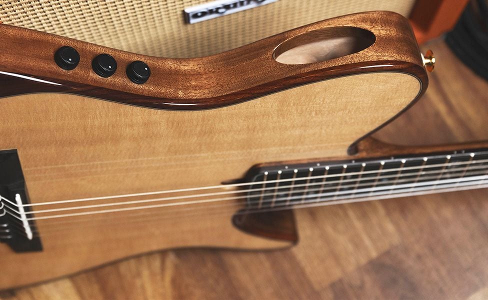 Ibanez_Tim_Henson_TOD100N_Controls_and_Soundhole_Inline.jpg