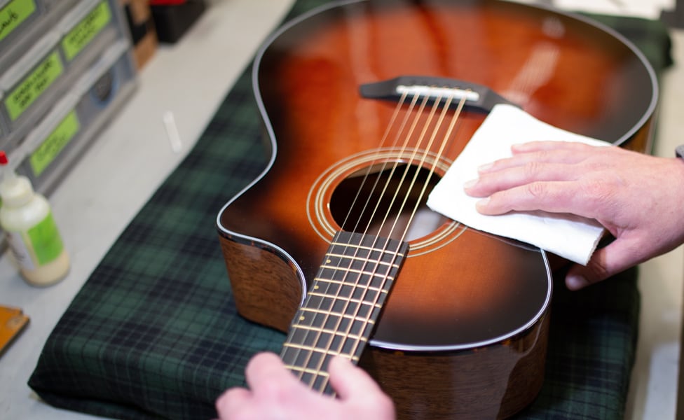 Breedlove's Organic Series Performer Acoustic Guitar