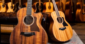 A Guide to Taylor Guitars