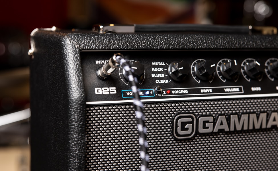GAMMA G25 Guitar Amplifier Control Panel