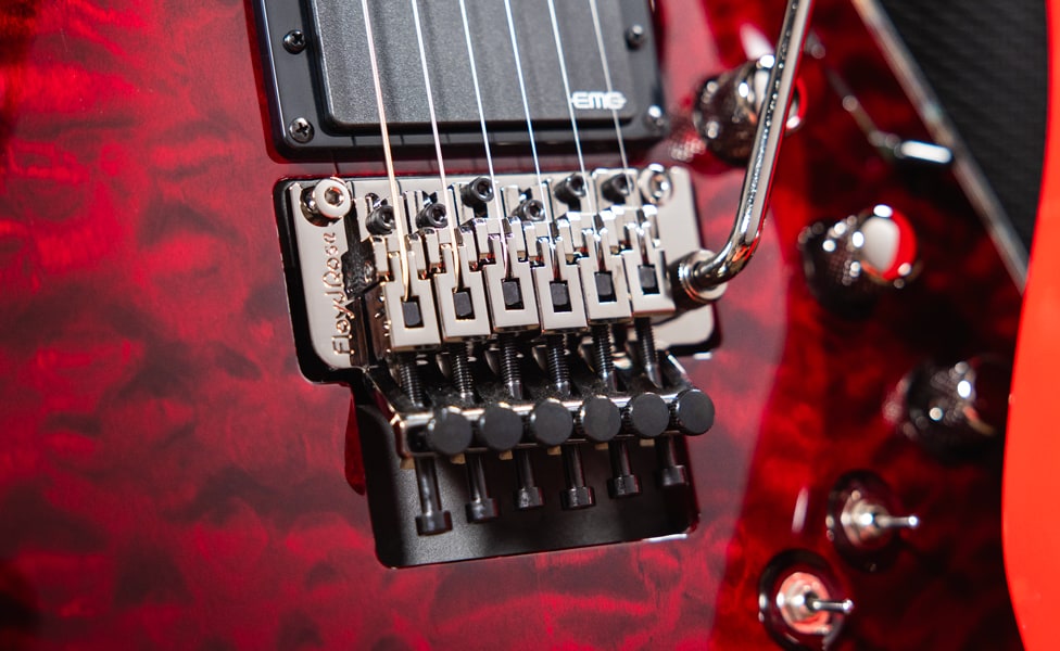 Schecter Guitar Research Hellraiser C-1 with Floyd Rose Bridge