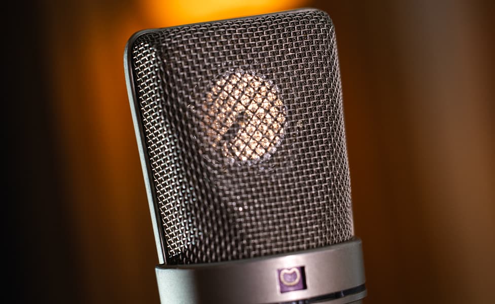 Neumann U 87 Microphone Capsule