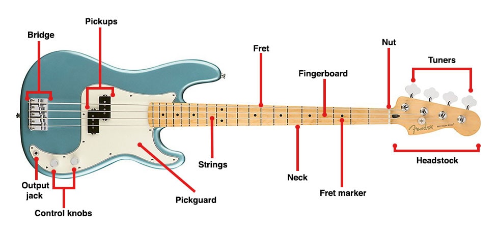Parts of the Bass Guitar
