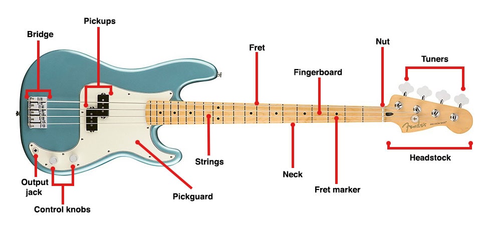 parts of the bass guitar