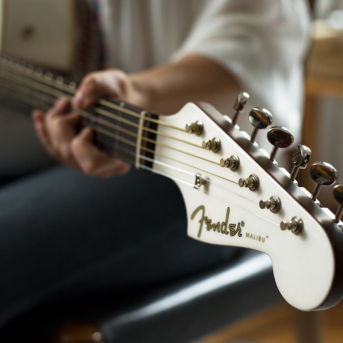 Fender California Player Series Image