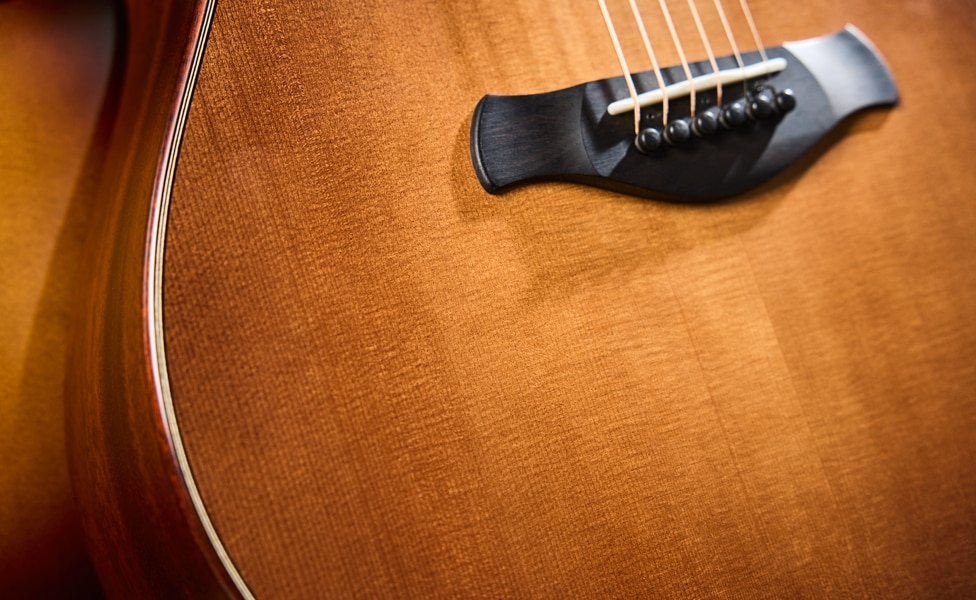 Taylor Builder's Edition 517e Grand Pacific Dreadnought Acoustic-Electric Guitar in Wild Honey Burst Curved Wing Bridge