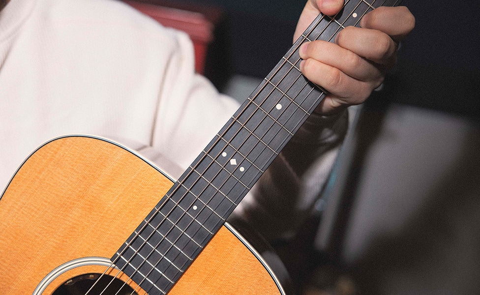 Taylor Gold Label 810e West African Ebony Fretboard