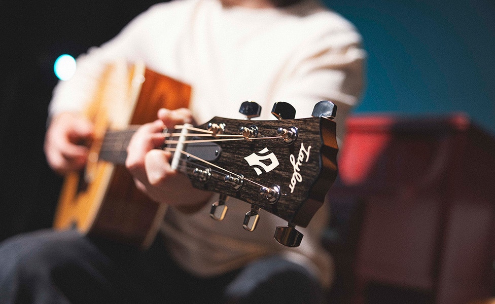 Taylor Gold Label 810e Headstock