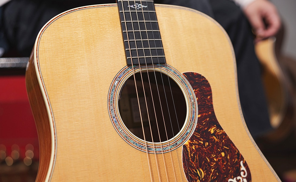 Taylor Gold Label 810e Soundhole and LR Baggs VTC Element Electronics