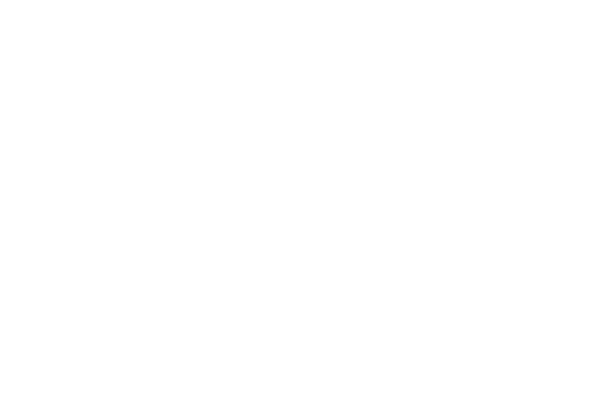 Pineville Grand Opening.