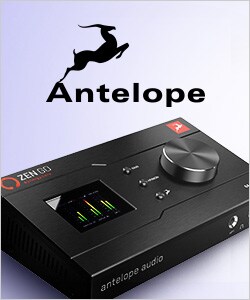 Antelope