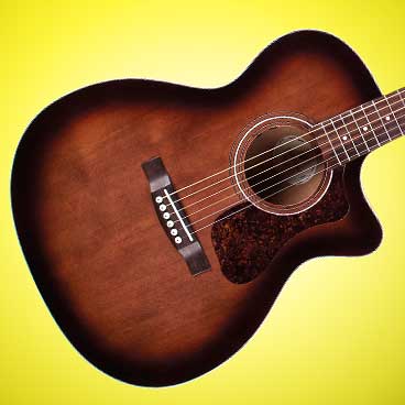 Acoustic Guitars & Basses