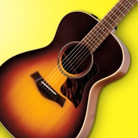 Acoustic Guitars