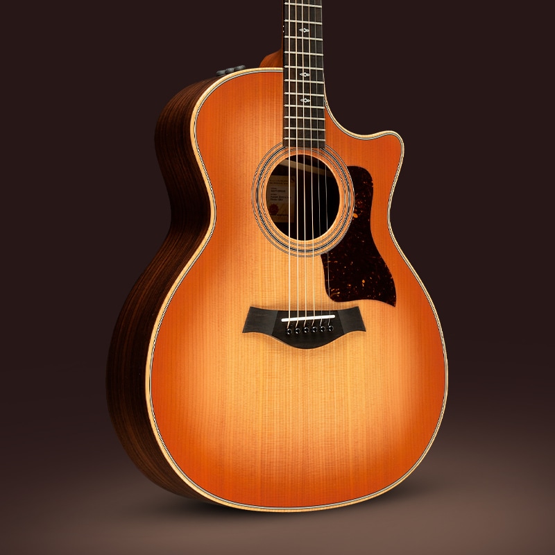Acoustic-Electric