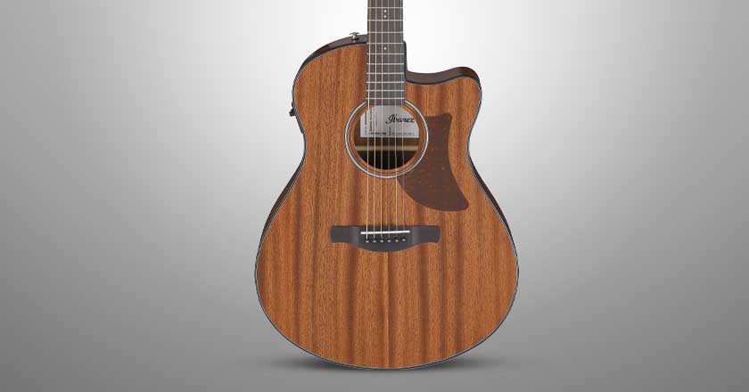 Ibanez AAM54CE Tonewoods