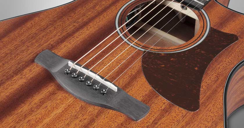 Ibanez AAM54CE X-M Bracing