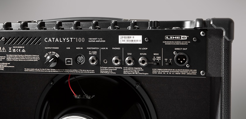Line 6 Catalyst 100 Rear Connections