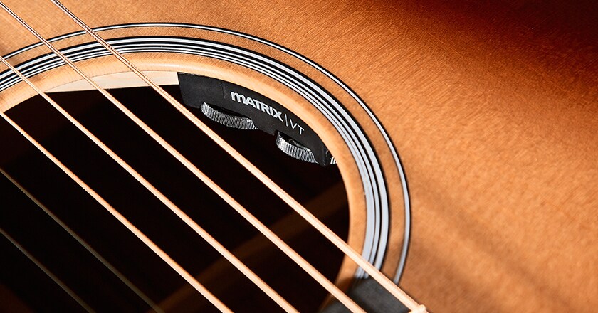 Martin GPC Special Performing Artist Ovankgol Fishman Matrix VT Enhanced pickup