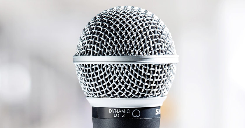 Shure SM48 LC Vocal Microphone Capsule