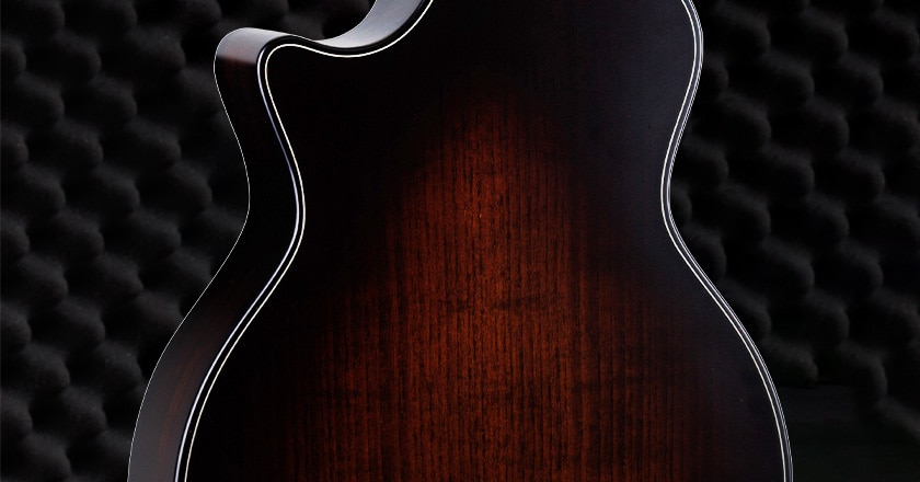 Taylor 50th Anniversary Builders Edition 314ce Back Detail