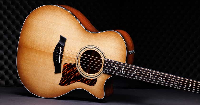 Taylor 314ce 50th Anniversary Limited-Edition Grand Auditorium 