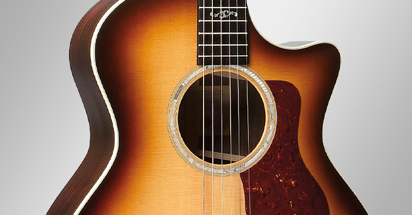 Taylor 414ce Special Edition Premium Appointments