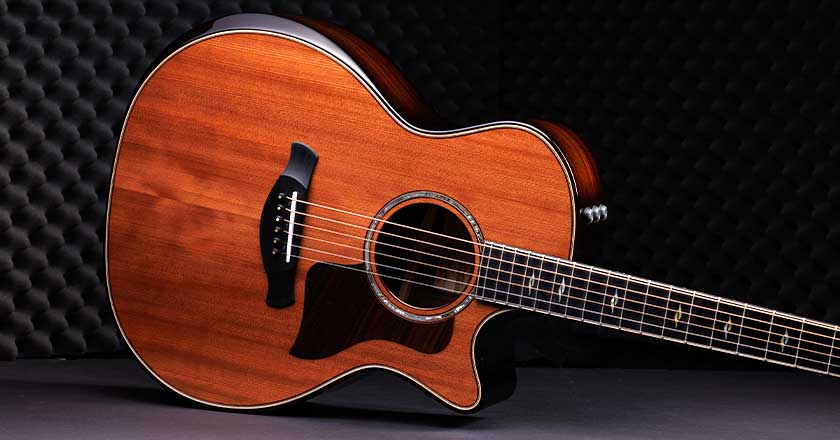 Taylor 814ce Builders Edition 50th Anniversary