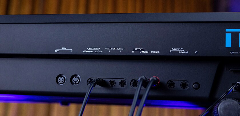 Yamaha MODX8+ Inputs and Outputs